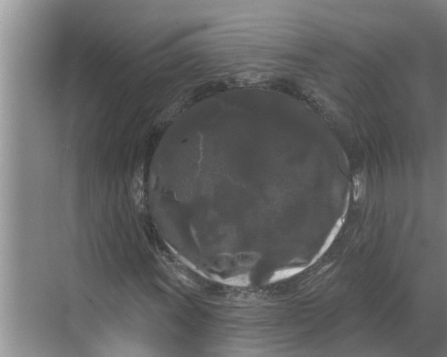 X0000068771011200605121656