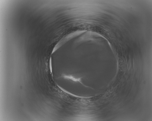 X0000068771013200605121656