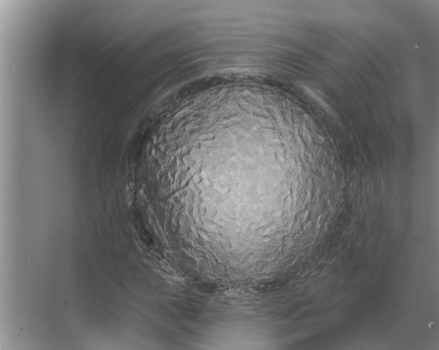 X0000068771015200605121656