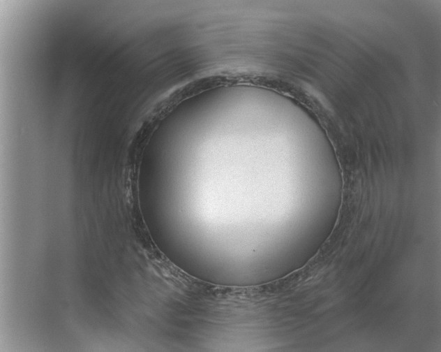 X0000068771016200605121656