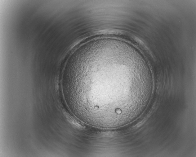 X0000068771017200605121656