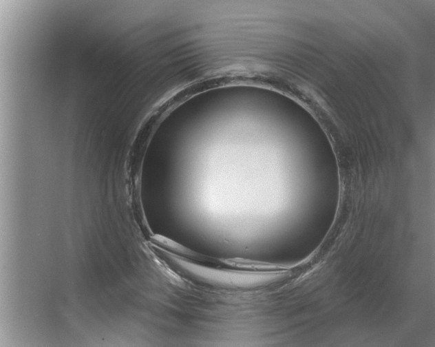 X0000068771018200605121656