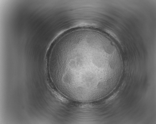 X0000068771021200605121656