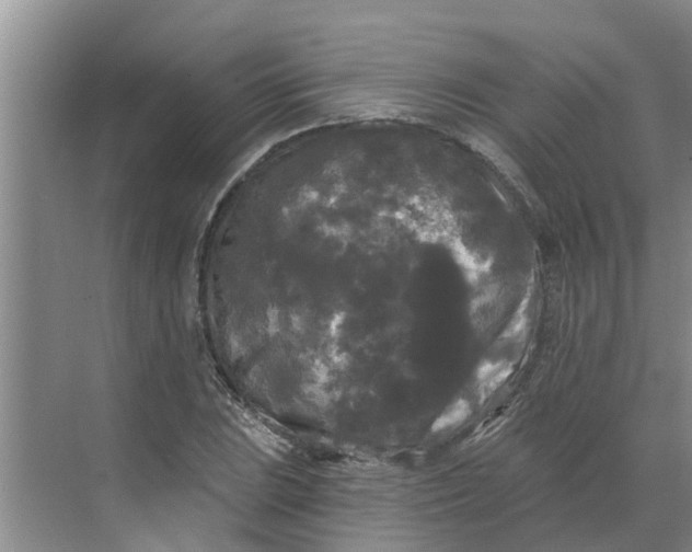 X0000068771023200605121656