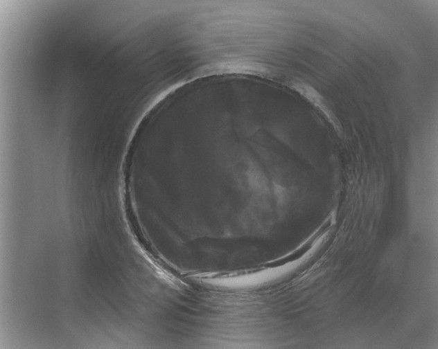 X0000068771024200605121656