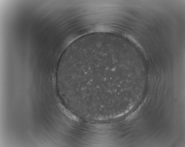 X0000068771025200605121656