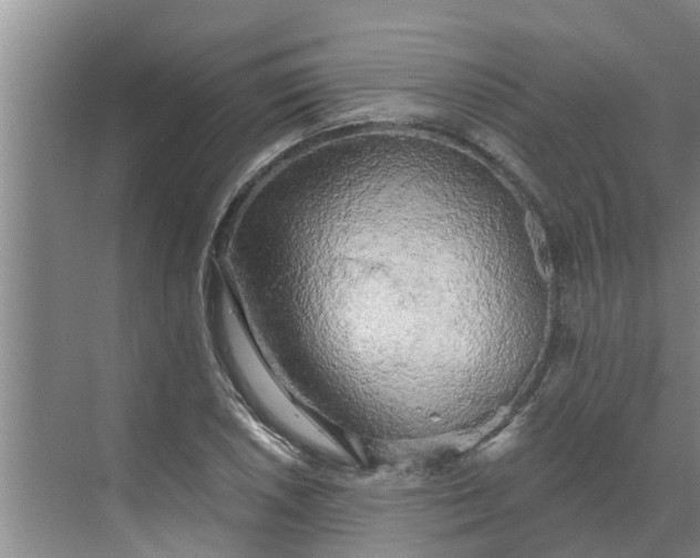 X0000068771026200605121656