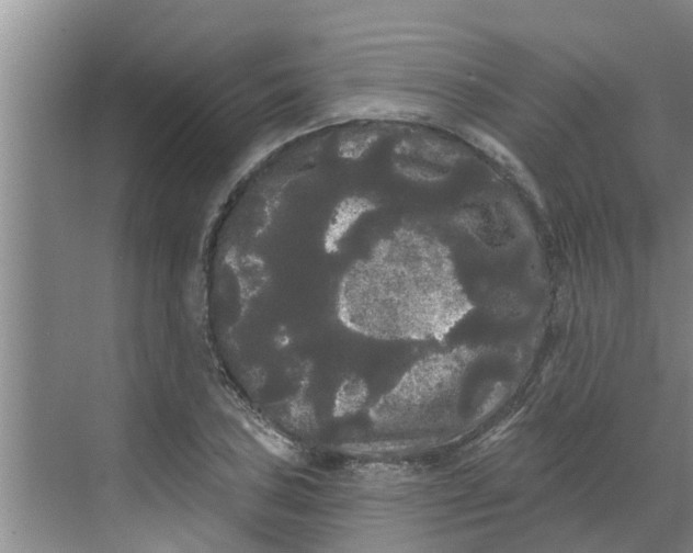 X0000068771027200605121656