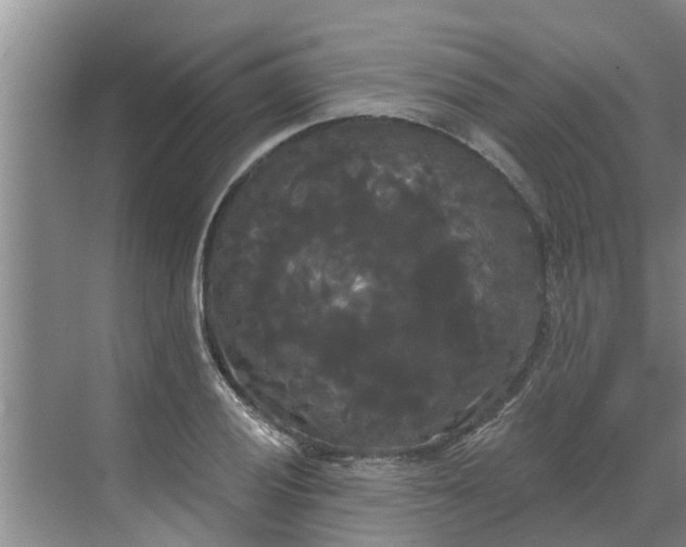 X0000068771028200605121656