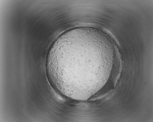 X0000068771033200605121656