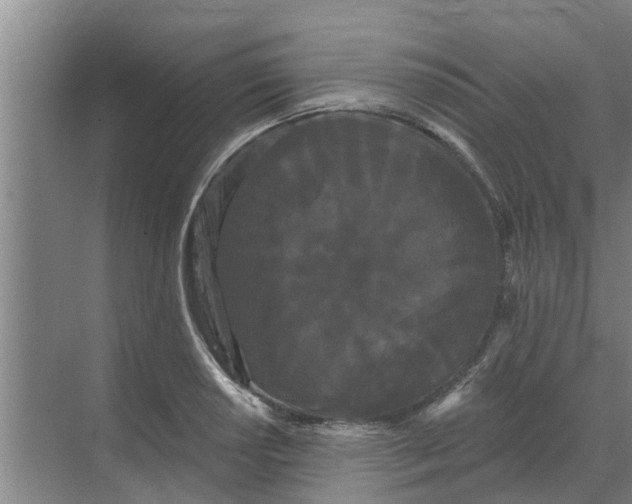 X0000068771034200605121656