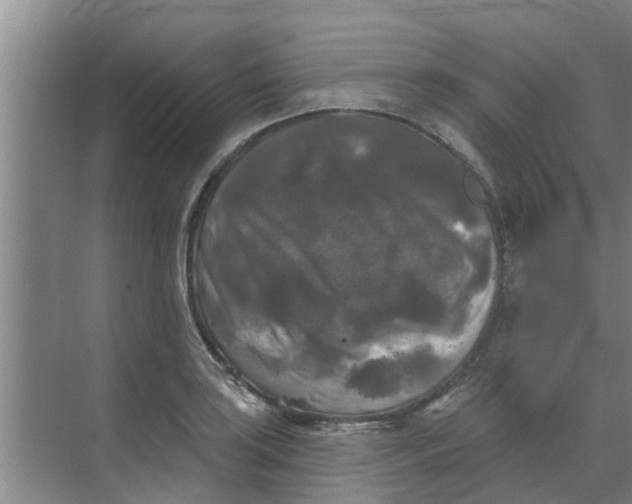 X0000068771035200605121656