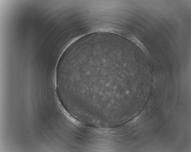 X0000068771036200605121656