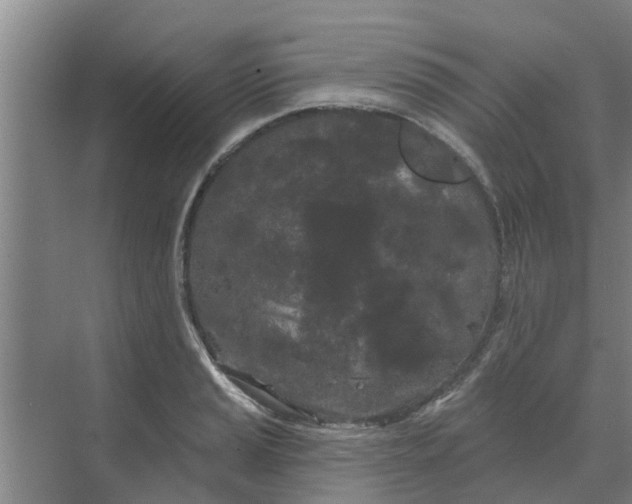 X0000068771037200605121656