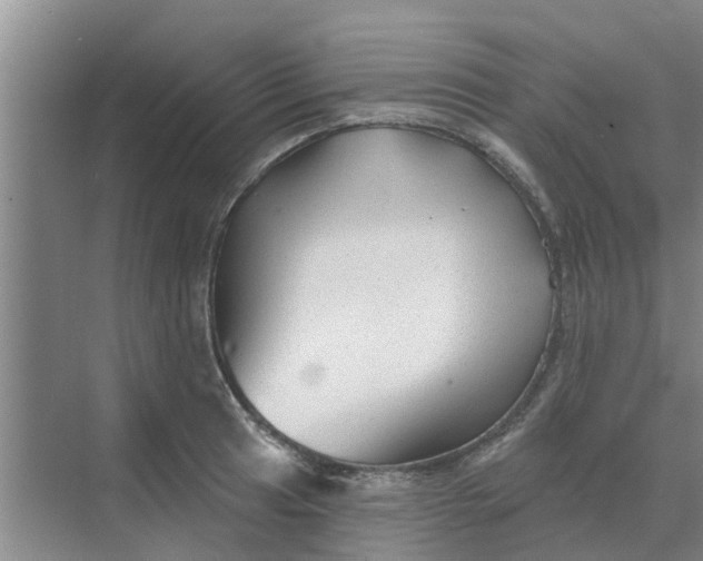 X0000068771041200605121656