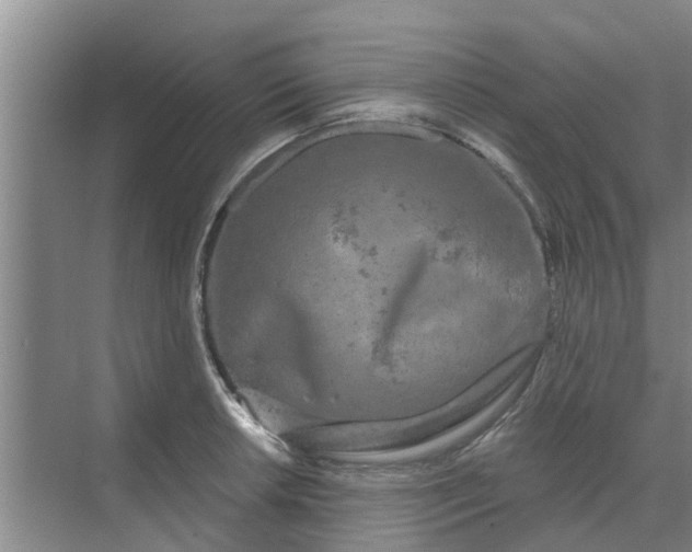 X0000068771042200605121656