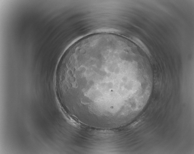 X0000068771044200605121656