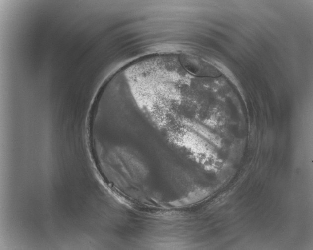 X0000068771045200605121656