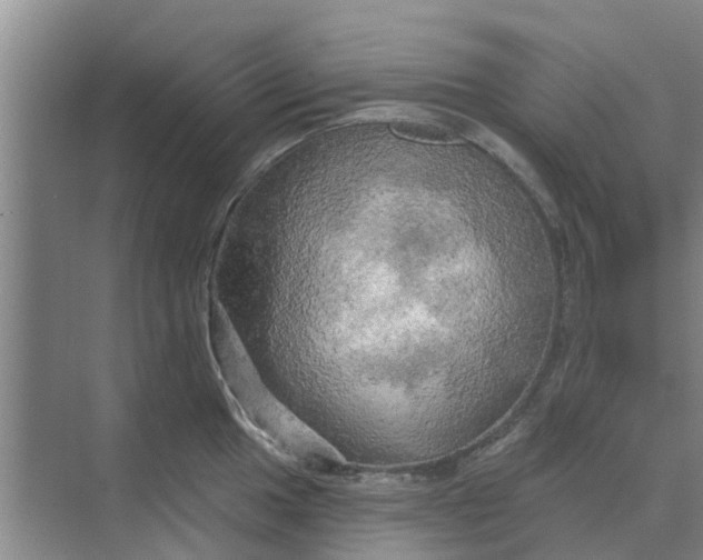 X0000068771049200605121656