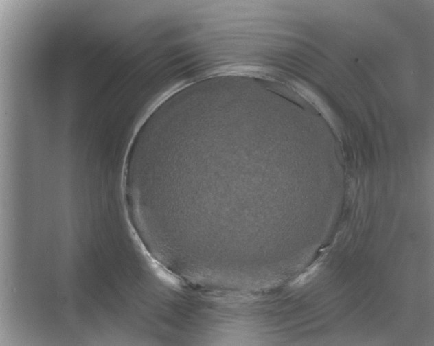 X0000068771050200605121656