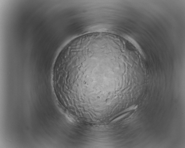 X0000068771051200605121656