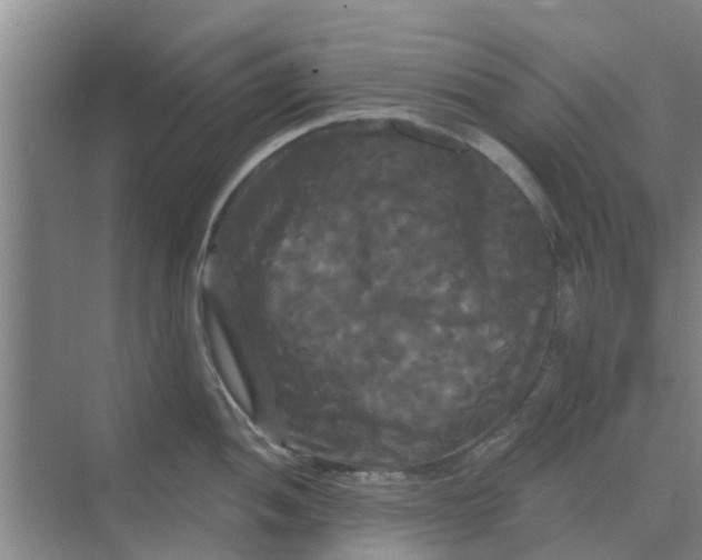 X0000068771052200605121656