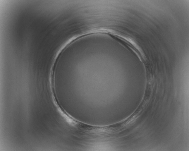 X0000068771054200605121657