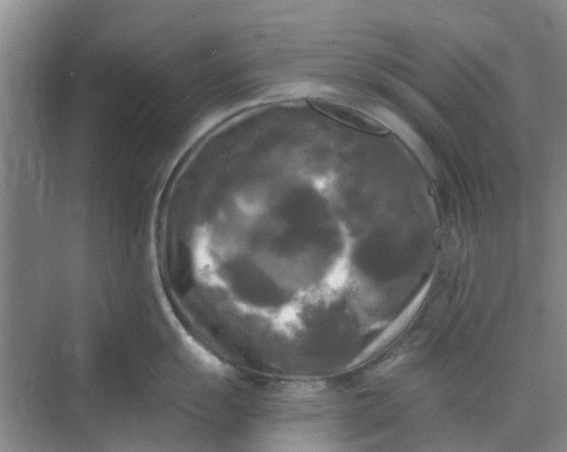 X0000068771055200605121657