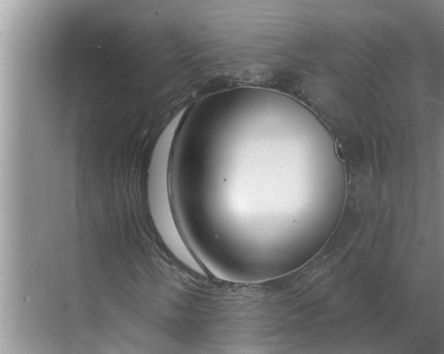 X0000068771058200605121656