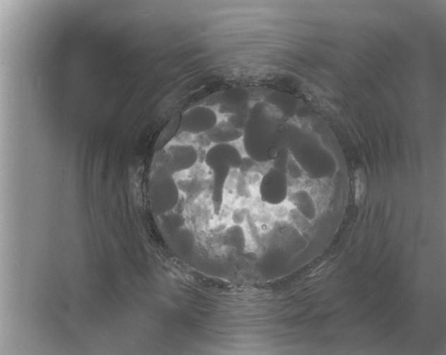 X0000068771059200605121656