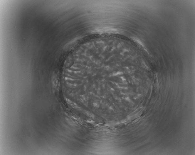 X0000068771063200605121656