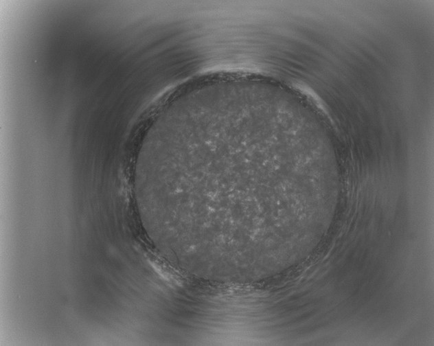 X0000068771064200605121656