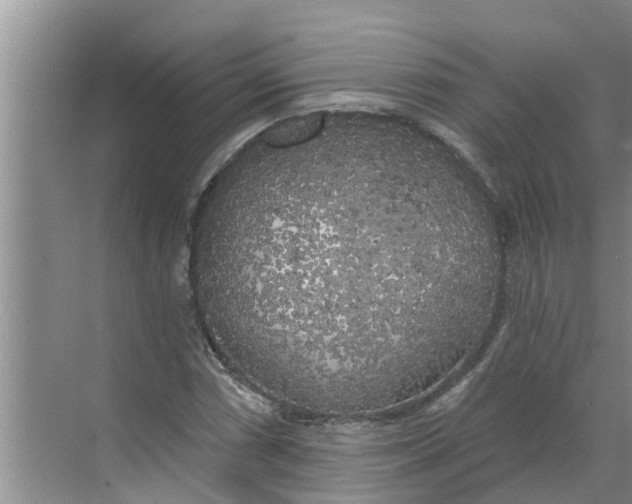 X0000068771066200605121656