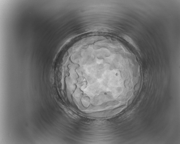 X0000068771067200605121656