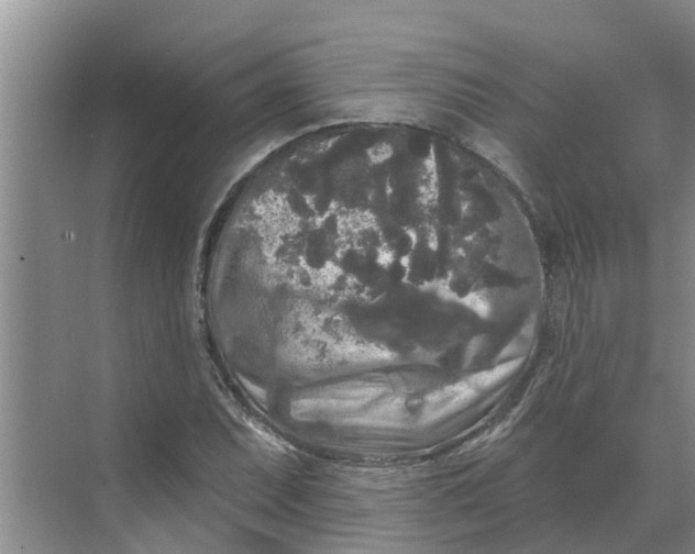 X0000068771071200605121656