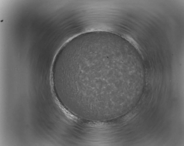 X0000068771072200605121656