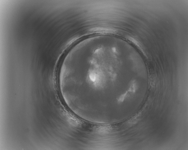 X0000068771074200605121655