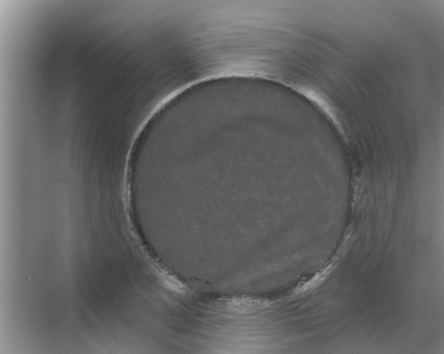 X0000068771077200605121655