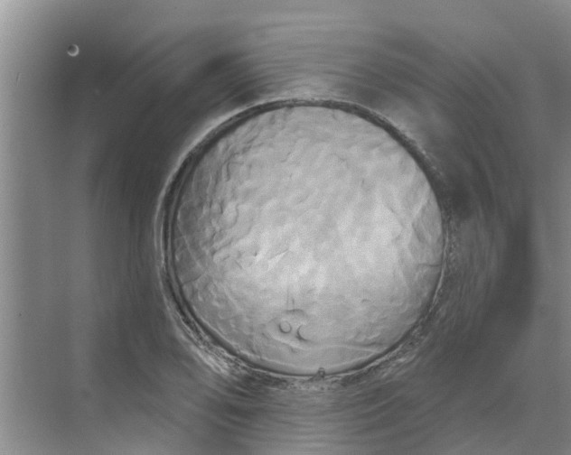 X0000068771078200605121655