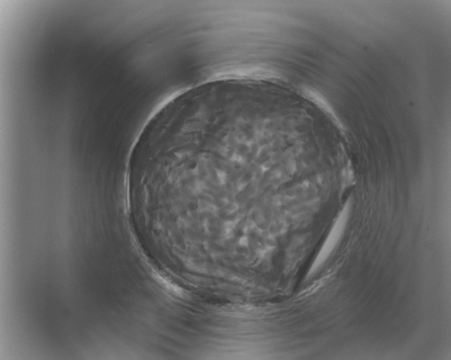 X0000068771079200605121655