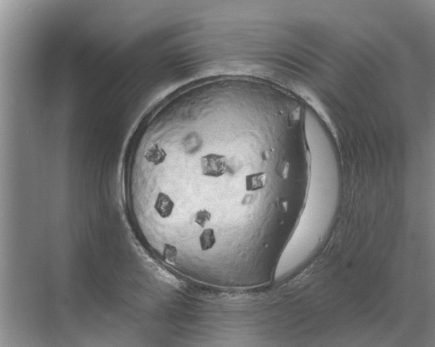 X0000068771080200605121655