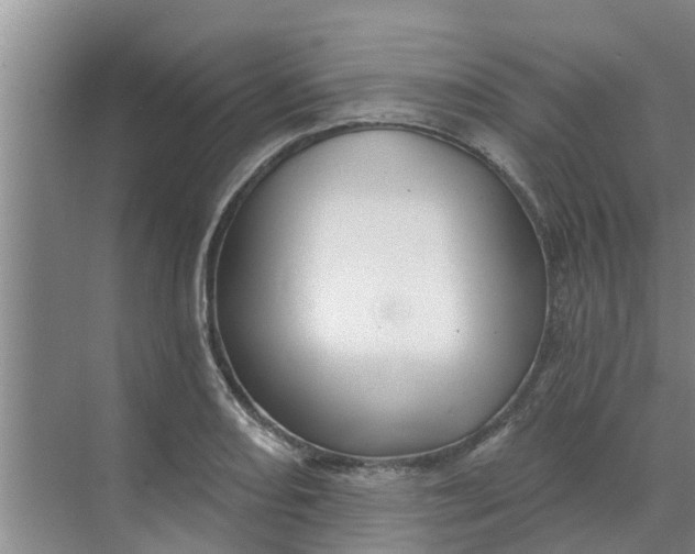 X0000068771082200605121655