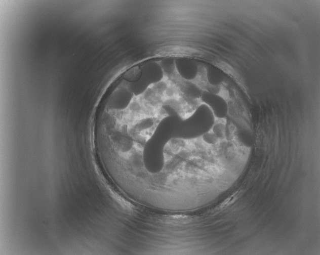 X0000068771083200605121655