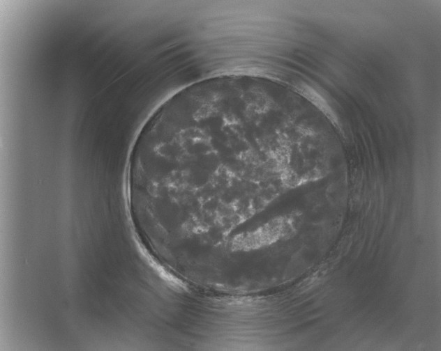 X0000068771084200605121655