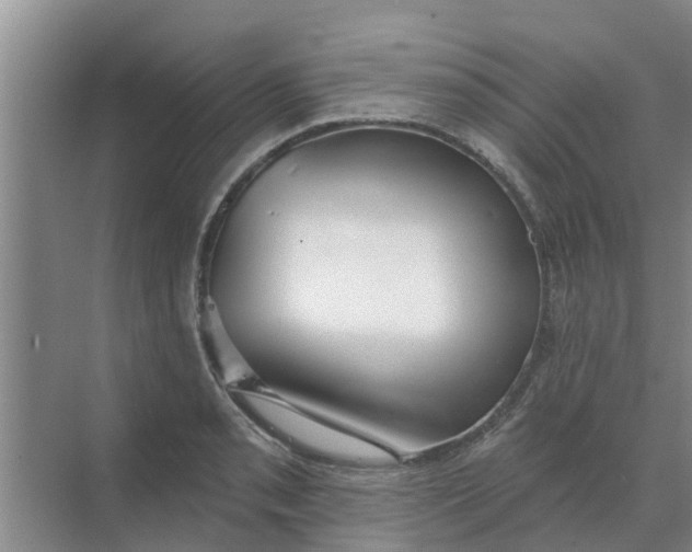 X0000068771085200605121655