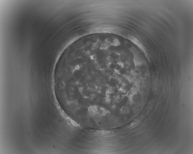 X0000068771088200605121655