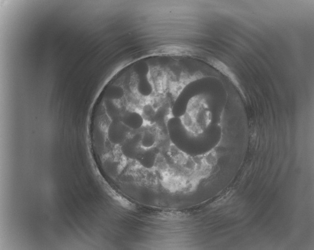 X0000068771091200605121655