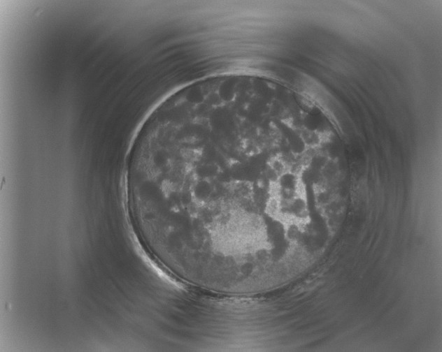 X0000068771092200605121655