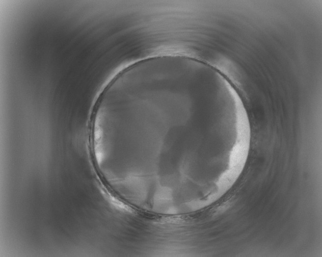 X0000068771094200605121655