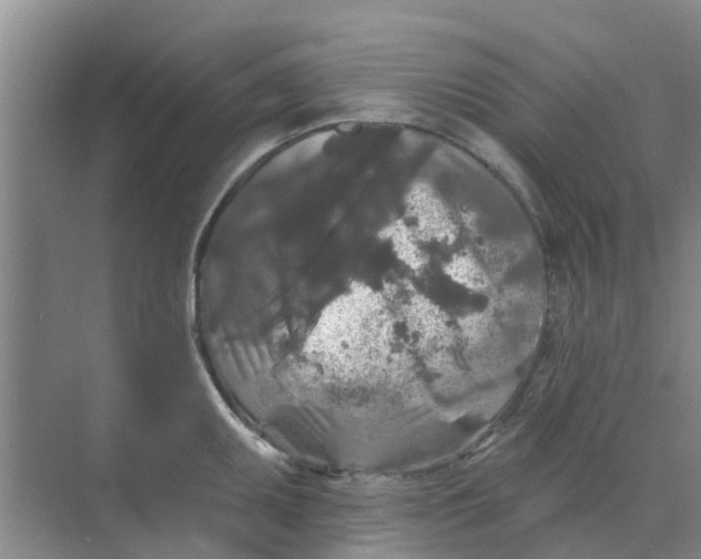 X0000068771095200605121655